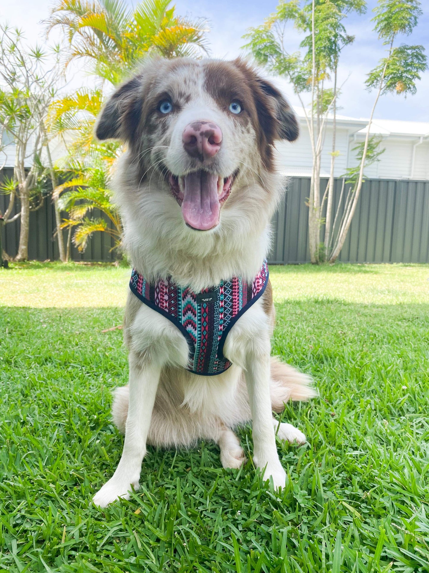 DOG HARNESS - Purple Aztec | Neck Adjustable Dog Harness - Dizzy Dog