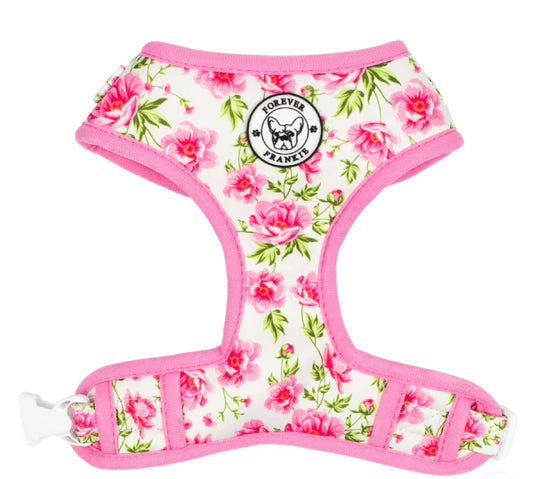 PEONY BLOOMS - ADJUSTABLE HARNESS - Forever Frankie