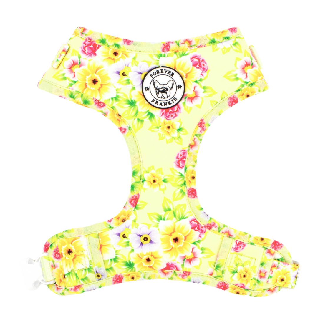 SUMMER FLING - ADJUSTABLE HARNESS - Forever Frankie