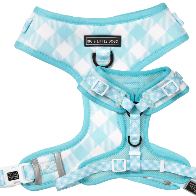 ADJUSTABLE DOG HARNESS: MINT GINGHAM - Big & Little Dogs