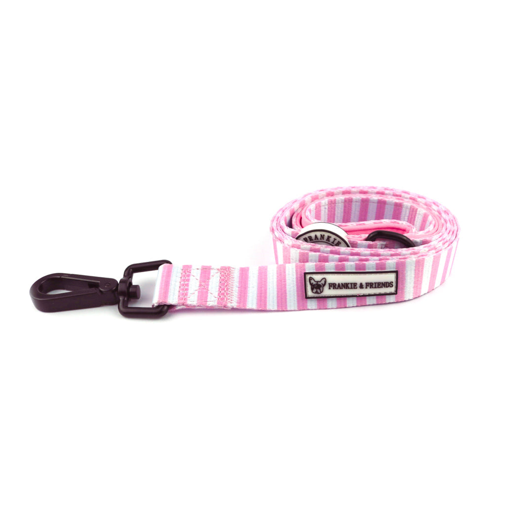 PINK CANDY STRIPE - DOG LEAD