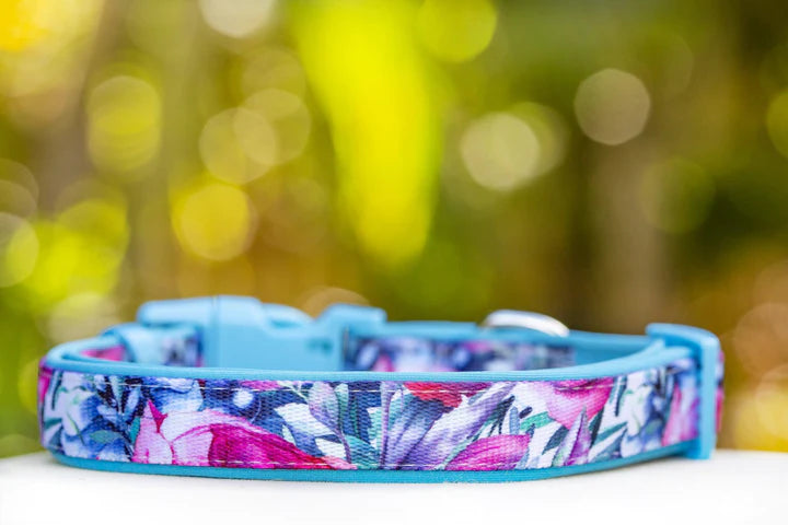 Blossom Rose Dog Collar- Dizzy Dog