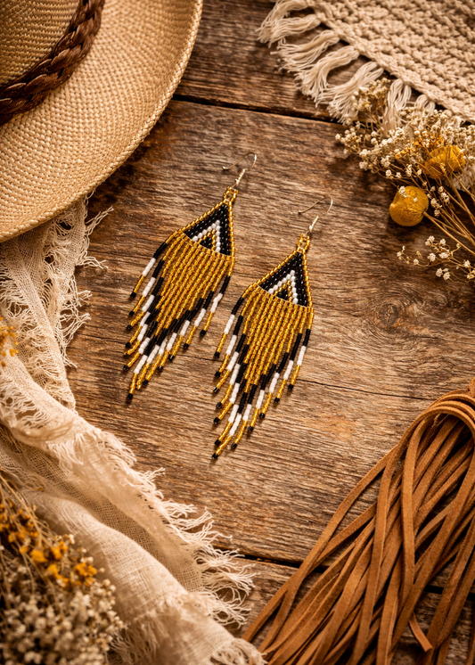 ✨ Midnight Desert Earrings