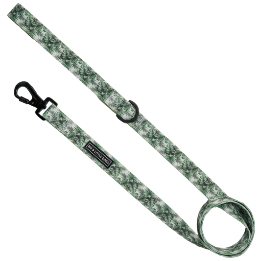 LOST IN PARADISE DOG LEASH - Big & Little Dogs